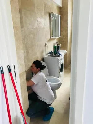 Greenstar Services curatenie Ploiesti