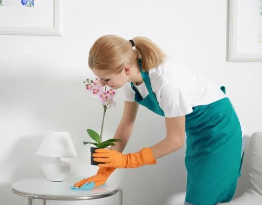 EnaClean curatenie Prahova