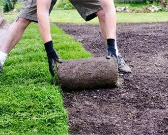 Servicii curatenie Bucuresti