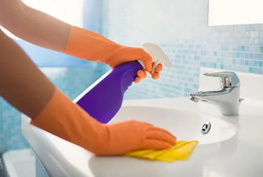 Perla Eco Clin Servicii curatenie Bucuresti