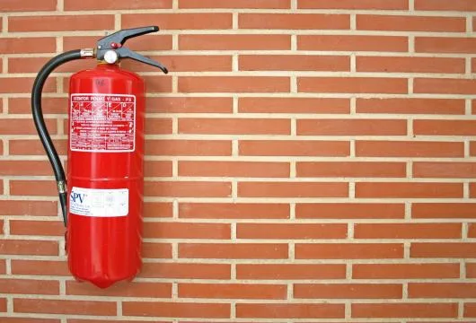 Top Sting stingatoare Timisoara