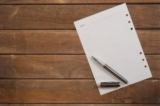 Top Sting stingatoare Timisoara