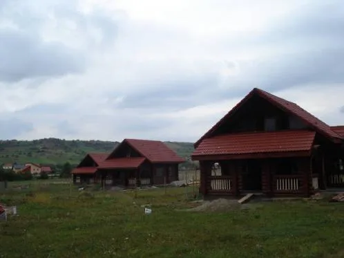Case din lemn masiv - Buzau