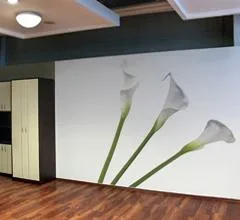 Bucuresti - Vitrine si compartimentari din sticla,usi - mobilier - oglinzi