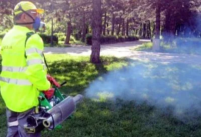 Dezinfectie - deratizare Iasi