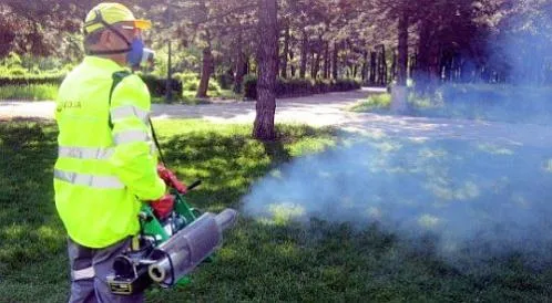 Dezinfectie - deratizare Iasi