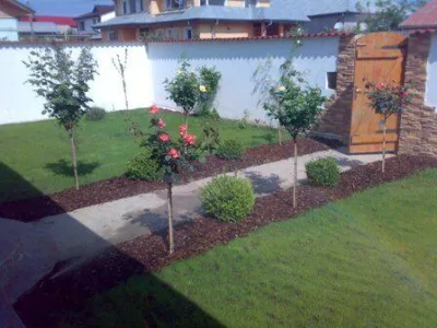 Avellana Garden Intretinere gradini spatii verzi Bucuresti Ilfov