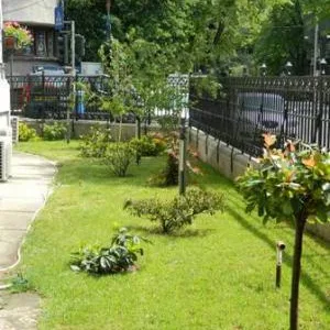 Avellana Garden Intretinere gradini spatii verzi Bucuresti Ilfov