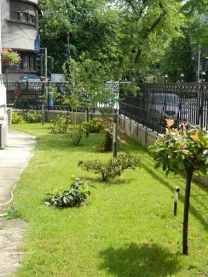 Avellana Garden Intretinere gradini spatii verzi Bucuresti Ilfov