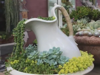 Avellana Garden Intretinere gradini spatii verzi Bucuresti Ilfov
