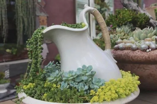Avellana Garden Intretinere gradini spatii verzi Bucuresti Ilfov