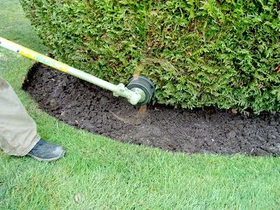 Avellana Garden Intretinere gradini spatii verzi Bucuresti Ilfov