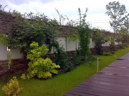 Avellana Garden Intretinere gradini spatii verzi Bucuresti Ilfov