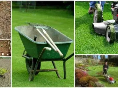 Avellana Garden Intretinere gradini spatii verzi Bucuresti Ilfov
