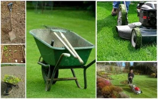 Avellana Garden Intretinere gradini spatii verzi Bucuresti Ilfov