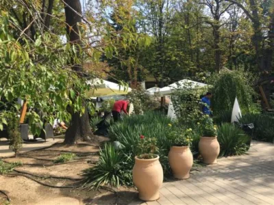 Bucuresti - Proiectare - amenajare - intretinere gradini