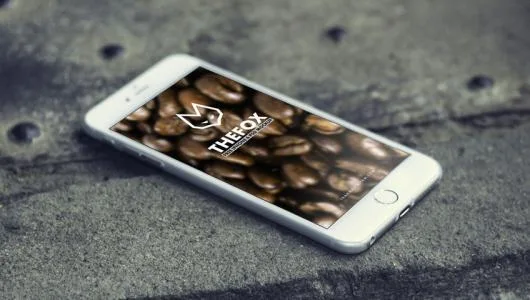 Delta Logic Iasi laptopdoctor.ro