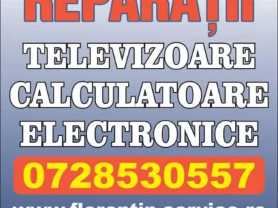 Reparatii aparate electronice si electrocasnice Giurgiu