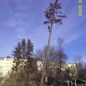 Alpinism utilitar - Cluj