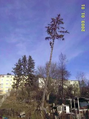 Alpinism utilitar - Cluj