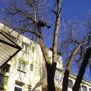 Alpinism utilitar - Cluj