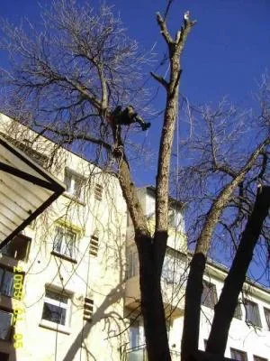 Alpinism utilitar - Cluj