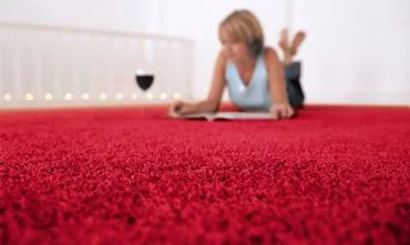 Spalatorie si Curatatorie Ecologica - Ploiesti