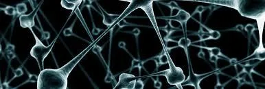 Infrastructura si securitate IT Bucuresti