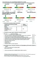 Bucuresti - Ilfov - Constanta - Brasov