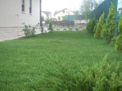 Poiana Campina / Prahova - Amenajari peisagistice