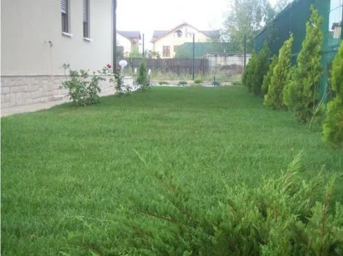Poiana Campina / Prahova - Amenajari peisagistice