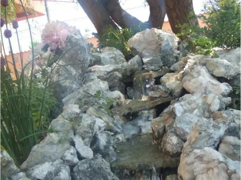 Poiana Campina / Prahova - Amenajari peisagistice
