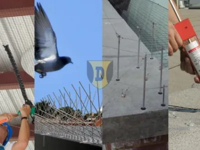 Alpinism Utilitar in Bucuresti