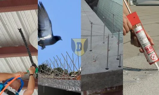 Alpinism Utilitar in Bucuresti