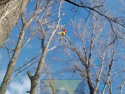 Alpinism Utilitar in Bucuresti