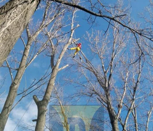 Alpinism Utilitar in Bucuresti
