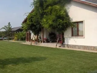 Teleorman - Proiectare si executie gradini - parcuri