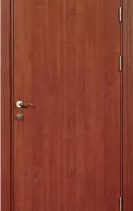 Usi metalice si din fier forjat - Bucuresti