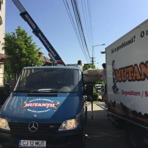 Relocari firme si locuinte - depozitare - Cluj Napoca