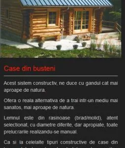 Red Cons 2000 constructie si montaj structuri din lemn Neamt