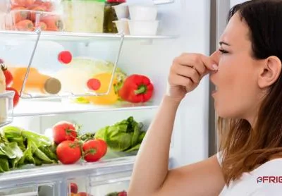 Reparatii masini de spalat si frigidere
