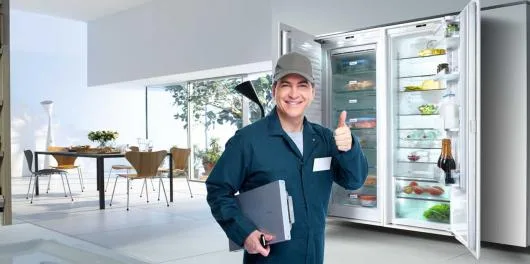 Reparatii masini de spalat si frigidere