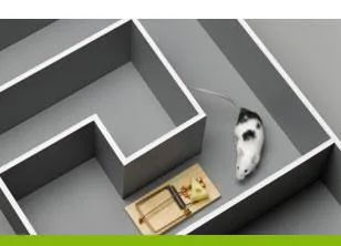 Servicii DDD - curatenie si ignifugare Craiova