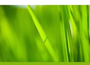 Servicii DDD - curatenie si ignifugare Craiova