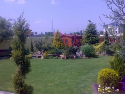 Spataru / Buzau - Amenajari gradini si spatii verzi