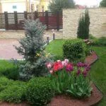 Velstand Facility Management Servicii integrate Brasov