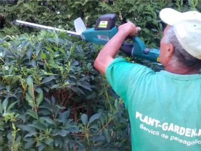 Plant Garden Servicii peisagistica Iasi