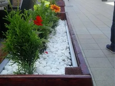 Plant Garden Servicii peisagistica Iasi