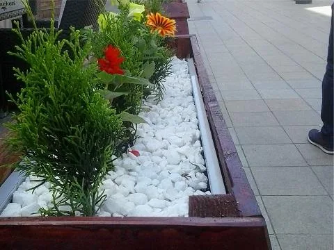 Plant Garden Servicii peisagistica Iasi