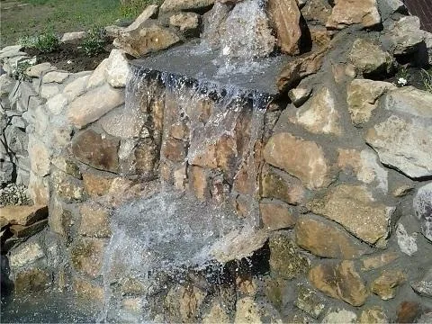 Plant Garden Servicii peisagistica Iasi